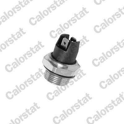 Temperature switch radiator - temperature, switch,