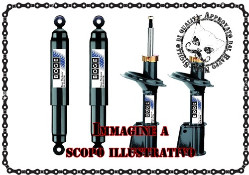 Pair ant shocks for - ant, citroen