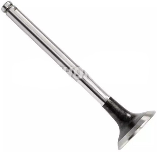 V35055 exhaust valve - 1x,