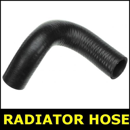 Radiator hose lower fits - hose,