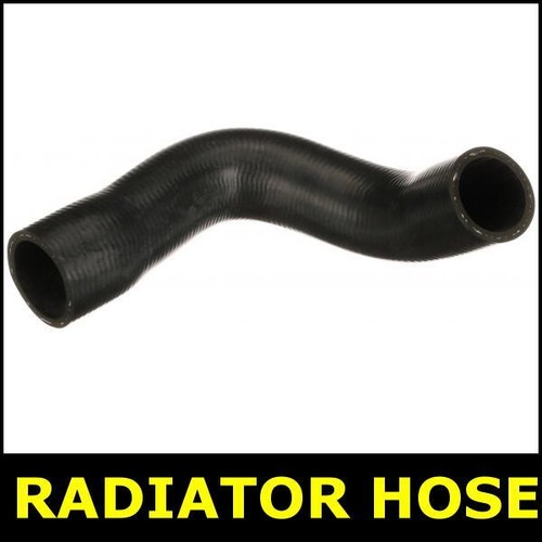 Radiator hose lower fits - hose,
