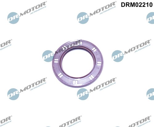 Drm02210 motor automotive - dr.motor,