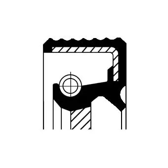Camshaft oil seal engine - camshaft,