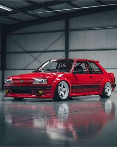 Peugeot 309 tuning scale - peugeot, 1:24