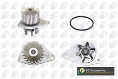 Bga water pump - pump, citroen