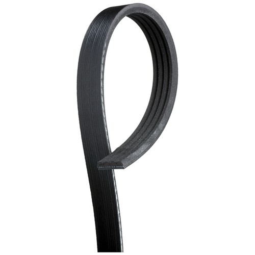 Rib multi drive - v,