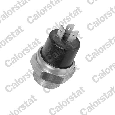 Temperature switch radiator - temperature,